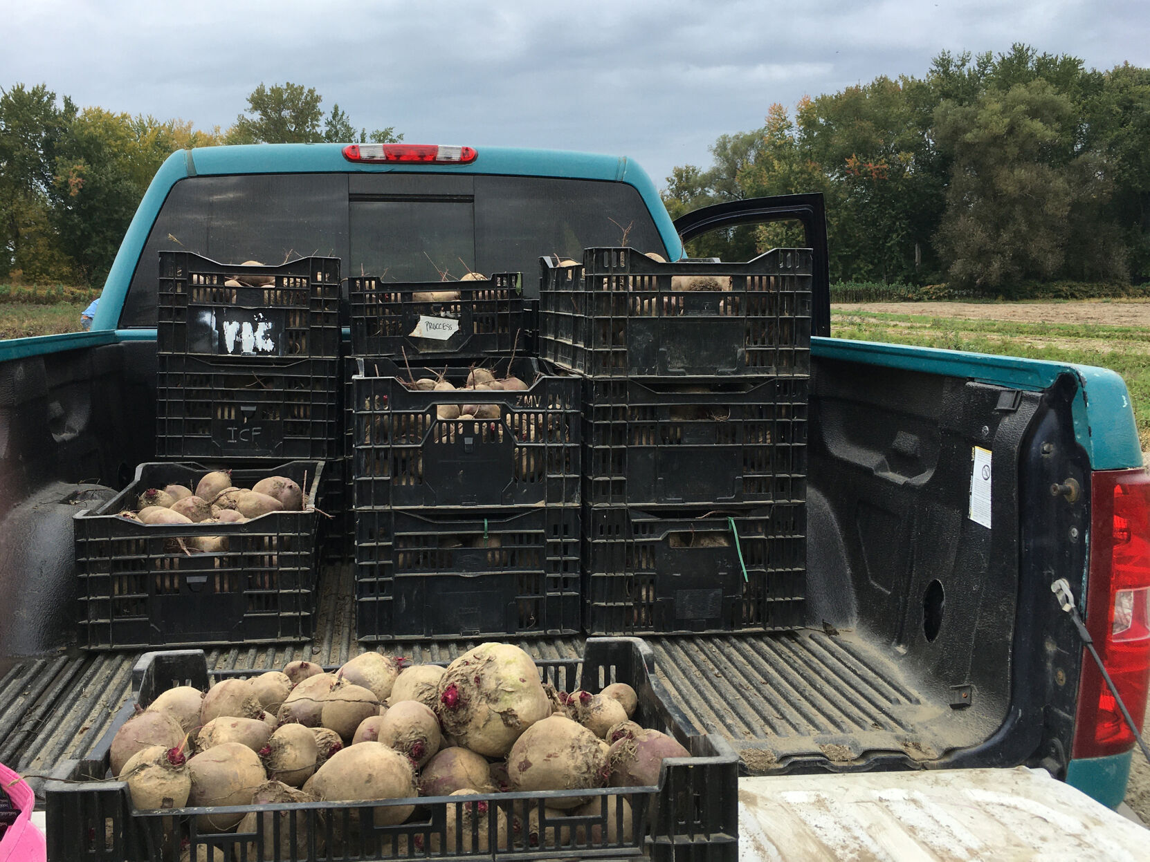 Rotary Gleaning 3